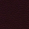 SP-B